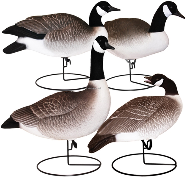 Picture of Hard Core Full Body Canada Goose Sentry 4Pk