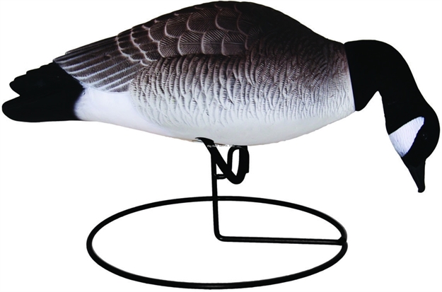 Picture of Hard Core Full Body Canada Lesser 6Pk