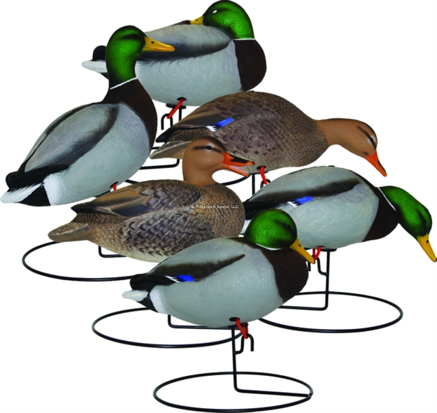Picture of Hard Core Full Body Mallard Touchdown 6Pk