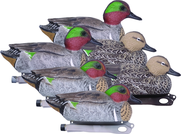 Picture of Hard Core Greenwing Teal 6Pk