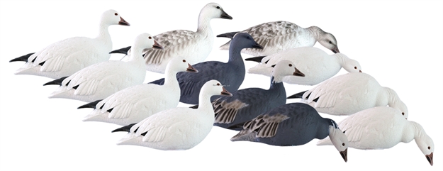 Picture of Hard Core Rugged FB Snow/Blue Touchdown 12 Pack