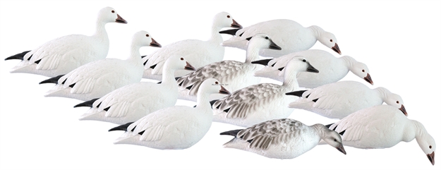 Picture of Hard Core Rugged FB Snow Touchdown 12 Pack