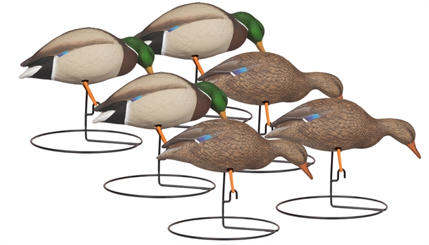 Picture of Hard Core Rugged Full Body Mallard Feeder 6 Pack - Painted