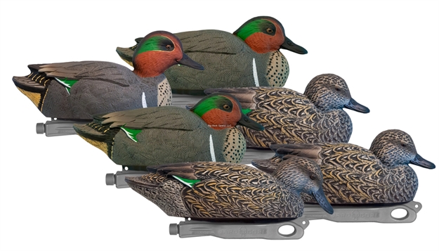 Picture of Hard Core Rugged Series Green-Wing Teal 6 Pack