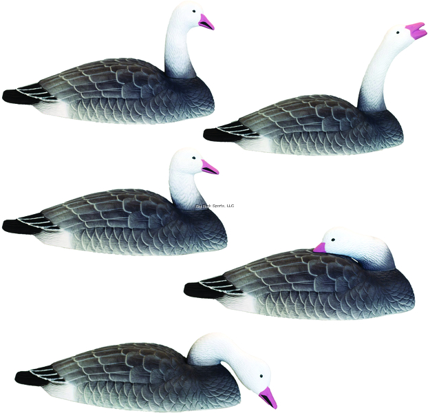 Picture of Hard Core Shell Blue Goose Finisher 12Pk