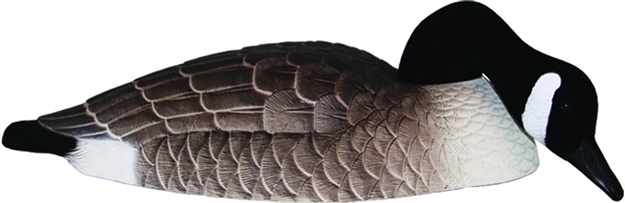 Picture of Hard Core Shell Canada Goose Feeder 12Pk
