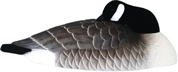 Picture of Hard Core Shell Canada Goose Sleeper 6Pk