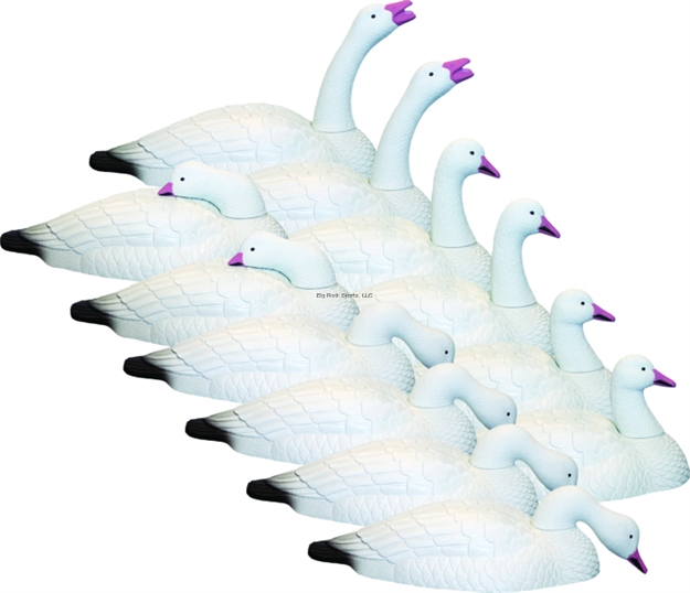 Picture of Hard Core Shell Snow Goose Touchdown 12Pk