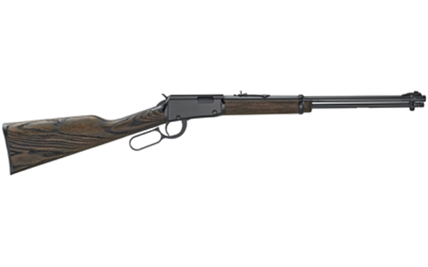 Picture of  Henry H001gg Garden Gun Smoothbore Full Size 22 Lr/Shotshell 15+1 18.50" Smooth Bore Barrel, Black Metal Finish, Black Ash Stock Right Hand 619835011213