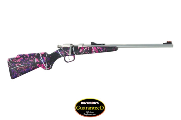 Picture of Henry Mini Bolt Youth Bolt Rifle 22 Lr, Rh, 16.25 In, Stainless Steel, Syn Stk, 1 Rnd, Std Trgr H005MG 619835015020