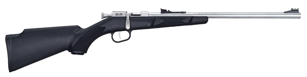 Picture of Henry Mini Bolt Youth Bolt Rifle 22 Lr, Rh, 16.25 In, Stainless Steel, Syn Stk, 1 Rnd H005 619835015006