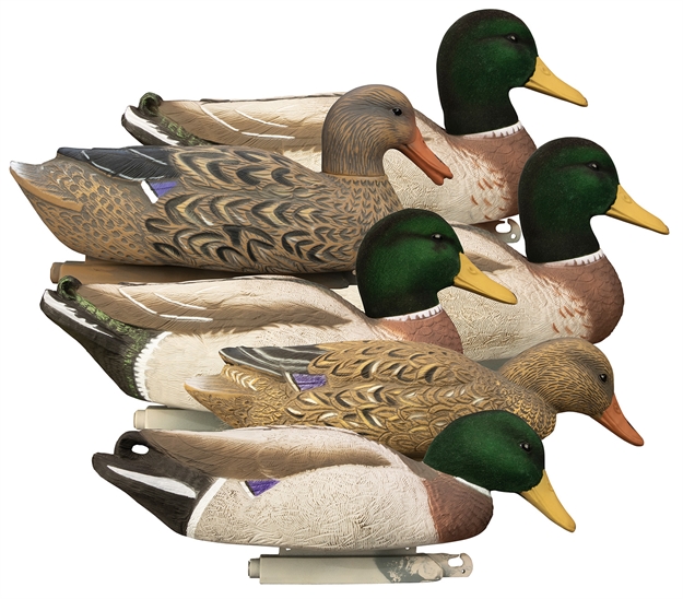 Picture of  Higdon Outdoors 17053 Magnum Floaters Mallard Species Multi Color Foam Filled 6 Pack