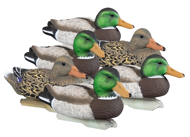 Picture of  Higdon Outdoors 19023 Standard Mallard Floaters Mallard Species Multi Color Foam Filled 6 Pack