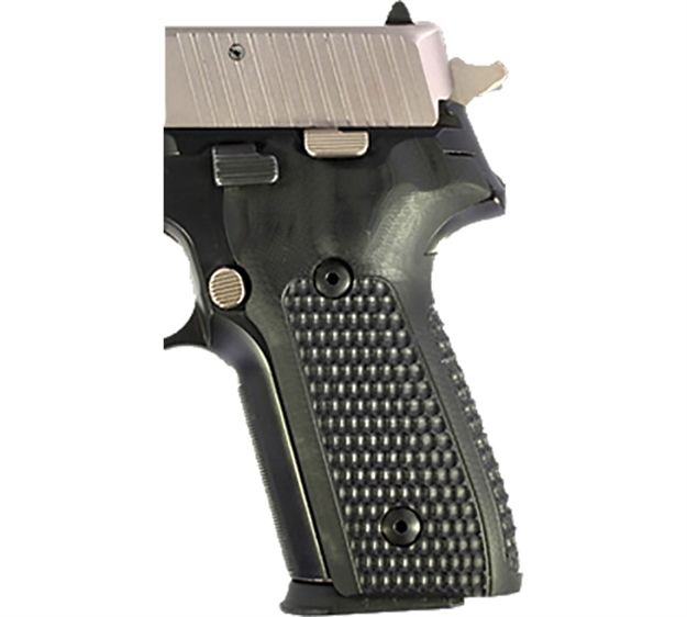 Picture of Hogue P228 P229 Da/Sa Checker BL