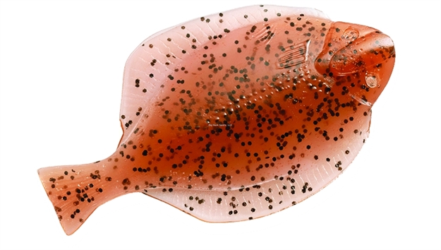 Picture of Hogy Flounder Soft Bait, 5", Amber, 3/Pack