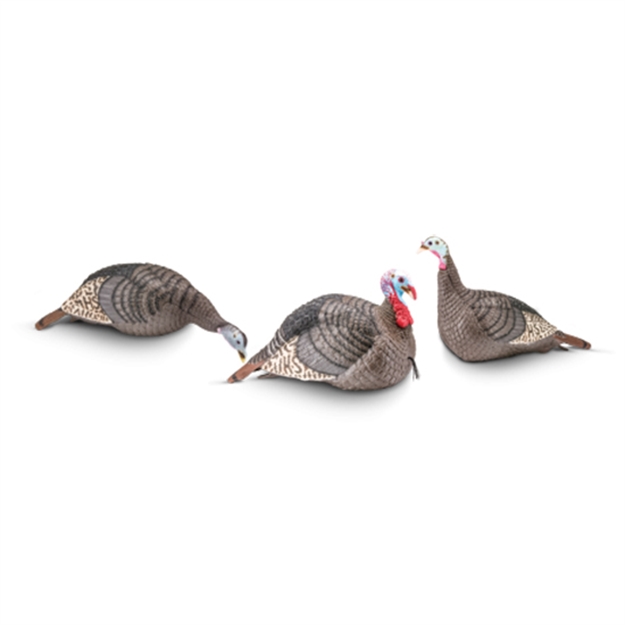 Picture of Holosun Strut Lite Decoy Flock Tky Pack STR100006 021291000159