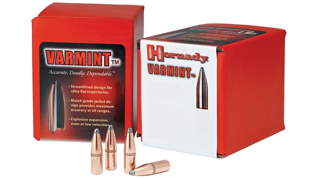 Picture of Hornady 17 Cal .172 25 GR HP