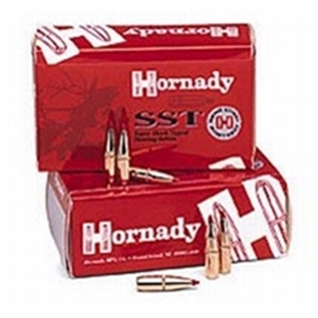 Picture of Hornady 405-.411 300 GR FP