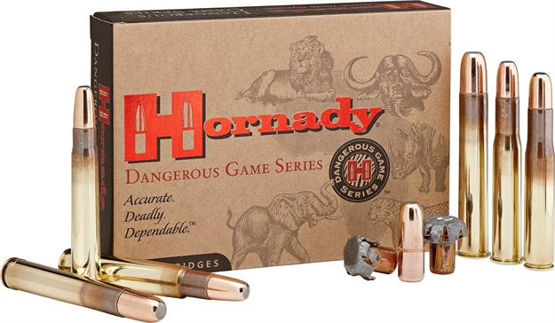 Picture of Hornady 9.3X74r 300Gr Dgs