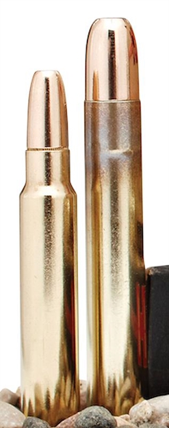 Picture of Hornady Dangerous Game Rifle Ammo 450 Rigby 480Gr 20Rnd