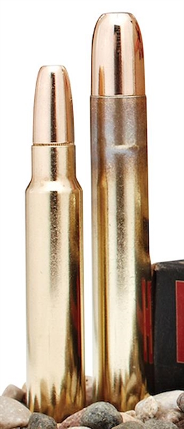 Picture of Hornady Dangerous Game Rifle Ammo 450 Rigby 480Gr Dgs 20Rnd