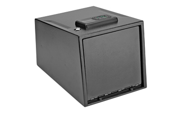 Picture of Hrndy Security Two-Gun Vault Blem