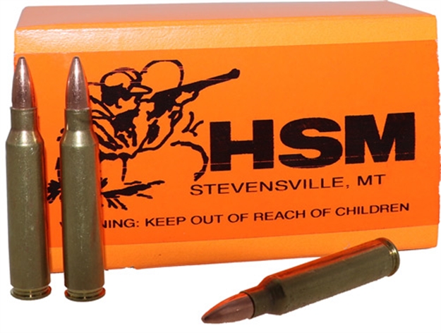 Picture of Hsm Ammo Rmfg .223 55Gr. Fmj 50-Pack Factory Blemished