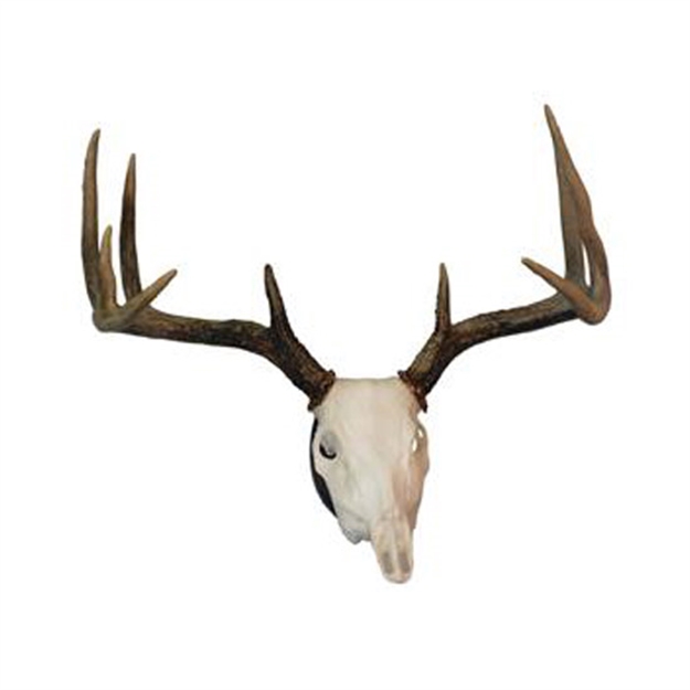 Picture of Hunters Specialties European Skull Deer Mounting Kit 01638