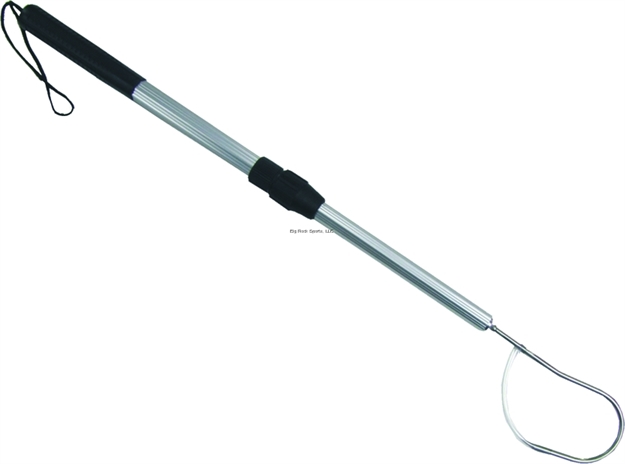 Picture of HT Polar Deluxe 2 IN 1 Telescopic Gaff