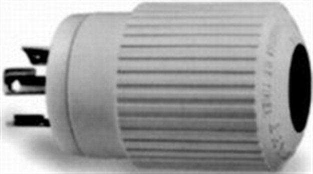 Picture of Hubbell Plug 30A Nyl