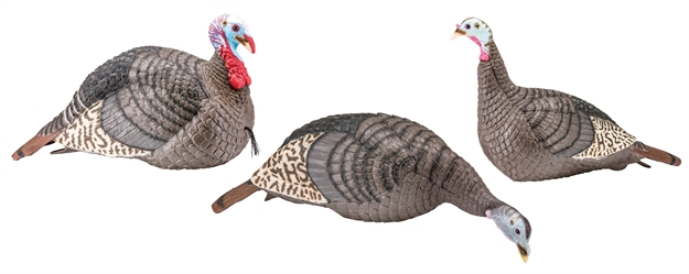 Picture of  HS Strut 100006 Strut-Lite Flock Wild Turkey Species Multi Color Synthetic 3 Per Pack 021291000159
