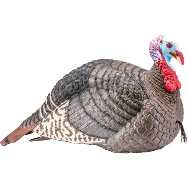Picture of  HS Strut 100003 Strut-Lite Jake Wild Turkey Species Multi Color Synthetic