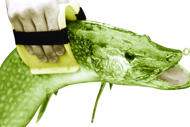 Picture of Hypark Fish Grabber