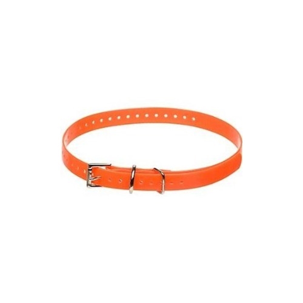 Picture of Innotck/Sport Dog BD 3/4" Orange Collr Strap SAC00-10815