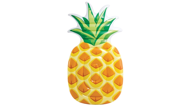 Picture of Intex Pineapple Mat