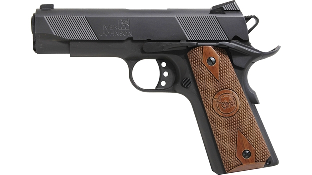 Picture of Iver Johnson Hawk NS 45Acp 6" 8Rd