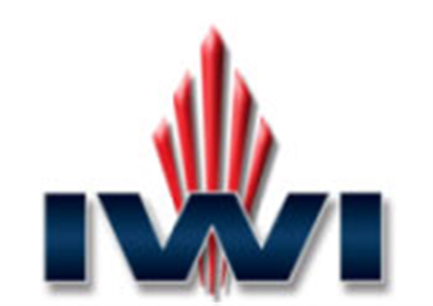 Picture of Iwi - Israel Weapon Industries Masada-S Elite 9Mm Blk 13+1 NS M9SLIM13ENS 818004024744