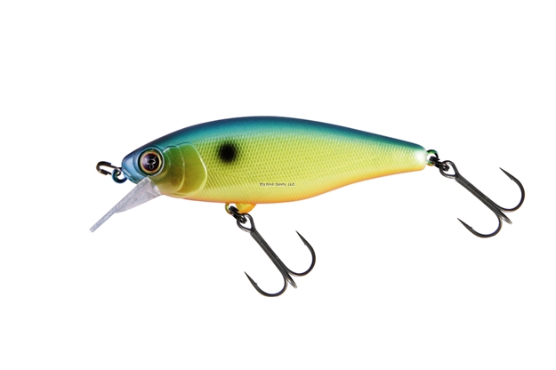 Picture of Jackall Lures Chubble 80, 3.1", .5Oz Minnow Shape Crankbait SR Blueback Gold CH