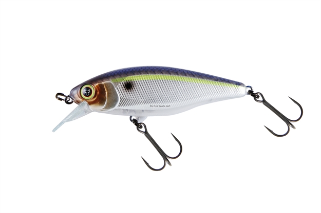 Picture of Jackall Lures Chubble 80, 3.1", .5Oz Minnow Shape Crankbait SR SG Threadfin Shad