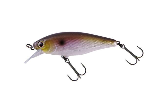 Picture of Jackall Lures Chubble 80, 3.1", .5Oz Minnow Shape Crankbait SR Super Shad