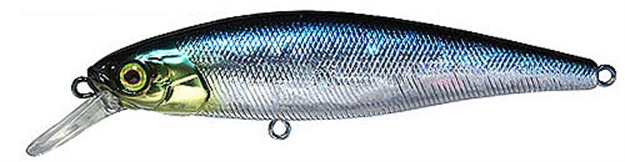 Picture of Jackall Lures Sqd Minnow 5.1" HL Aurora