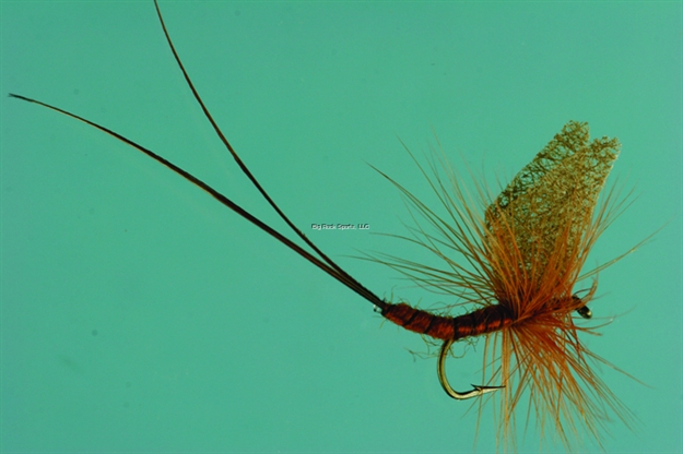 Picture of Jackson Cardinal Dry Fly, #10, Brown Mayfly