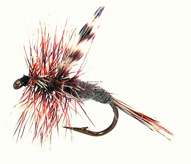 Picture of Jackson Cardinal Dry Fly, #12, Adams