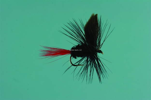 Picture of Jackson Cardinal Dry Fly, #12, Black Gnat-Red Tail
