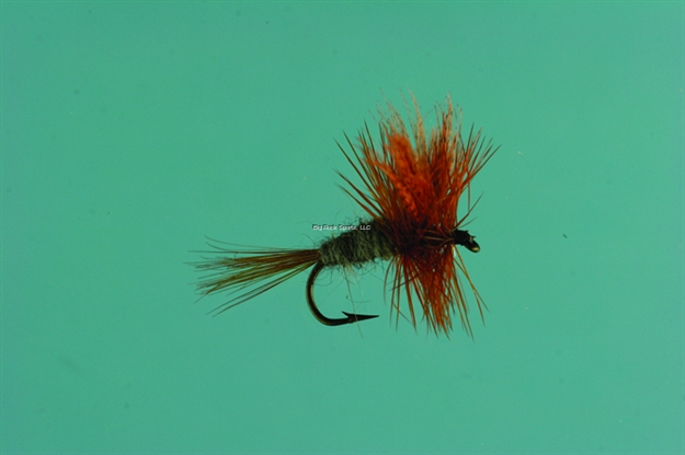 Picture of Jackson Cardinal Dry Fly, #12, Dark Cahill