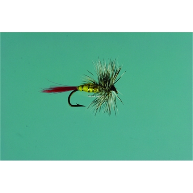 Picture of Jackson Cardinal Dry Fly, #12, Grizzly Hackle Yellow