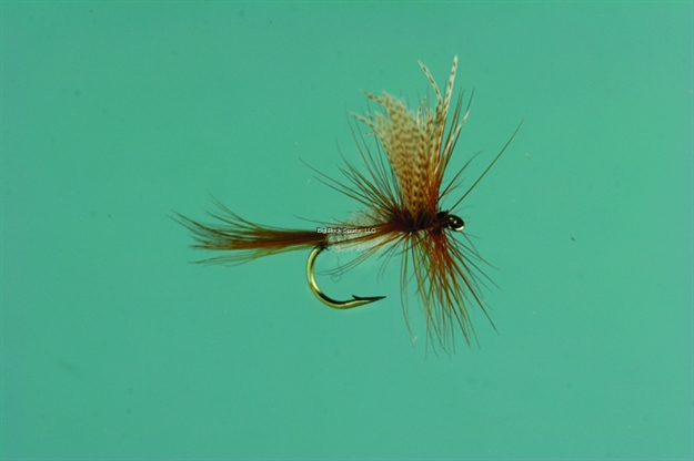 Picture of Jackson Cardinal Dry Fly, #12, Light Cahill