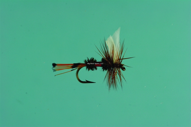 Picture of Jackson Cardinal Dry Fly, #12, Royal Coachman