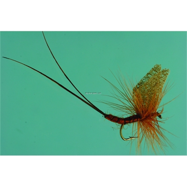 Picture of Jackson Cardinal Dry Fly, #16, Brown Mayfly