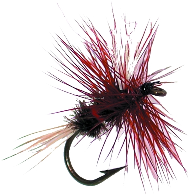 Picture of Jackson Cardinal Dry Fly, #16, Royal Wulff